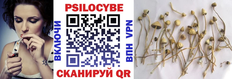 Псилоцибиновые грибы Magic Shrooms  купить  сайты  Дмитровск 